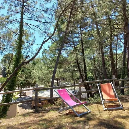 Maeva Respire Parfums D'ete 4* ジャール・シュル・メール